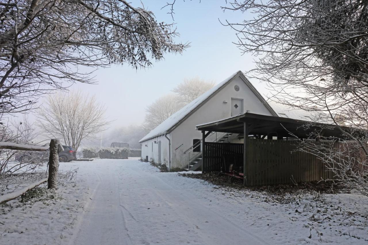 Storm'S Stay - Near Mch & Boxen Herning Bagian luar foto